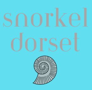 Snorkelling in Dorset